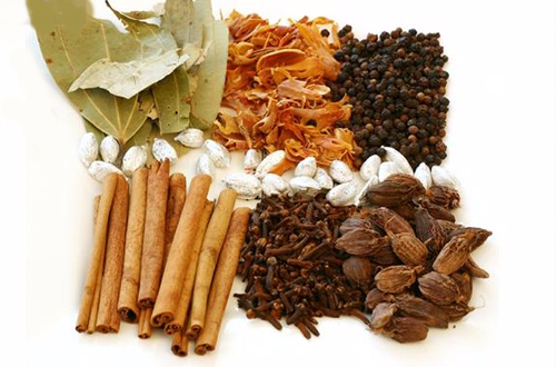 Chữa gút bằng ngũ gia bì