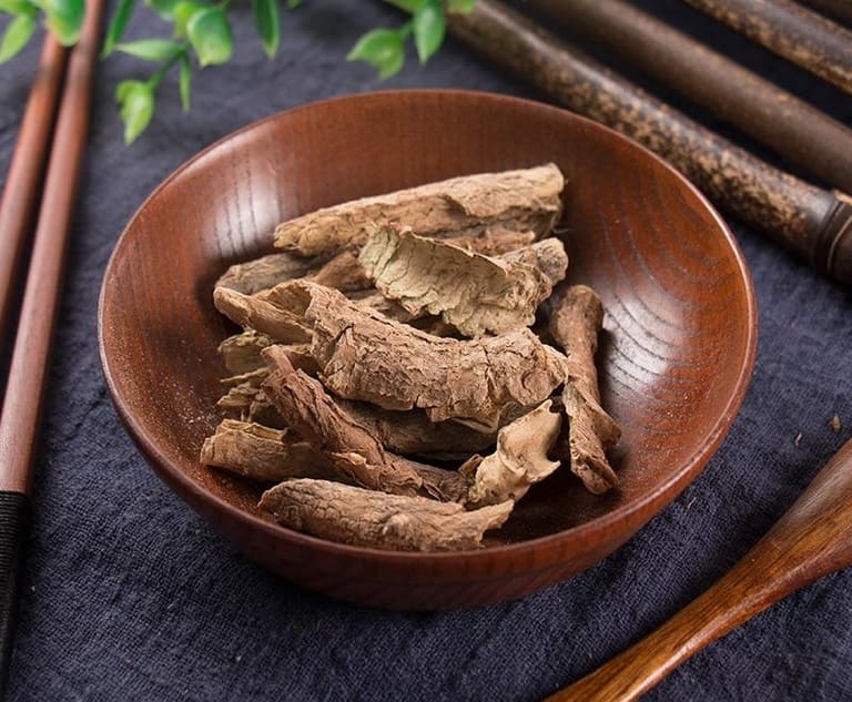 Ngũ gia bì - Thần dược trị gút và đau nhức xương khớp